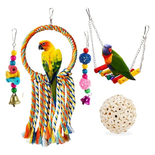 Bird Hoop Swing and Parakeet Toys (colorful)