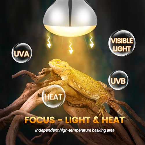 Dual Reptile Light Fixture with 100W Full Spectrum UVA UVB Light Bulb & 100W Nighttime Ceramic Heat Emitter (ST4)