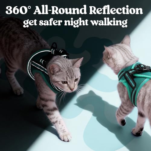Cat Harness and Leash Set (S / Turquoise & Green)