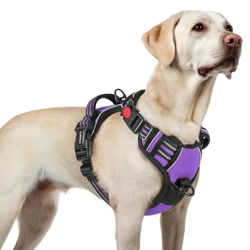 Dog Harness for Large (Large / Purple)