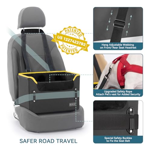 Small Dog Car Seat