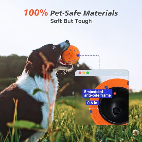 Interactive Dog Ball Toy