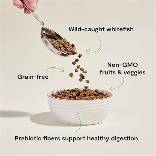 Grain Free Dry Cat Food (4 Pound (Pack of 1))