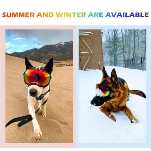 Large Dog Sunglasses