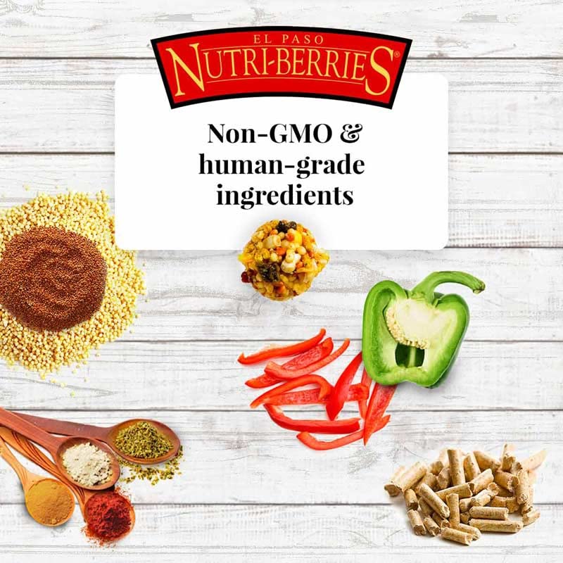 El Paso Nutri