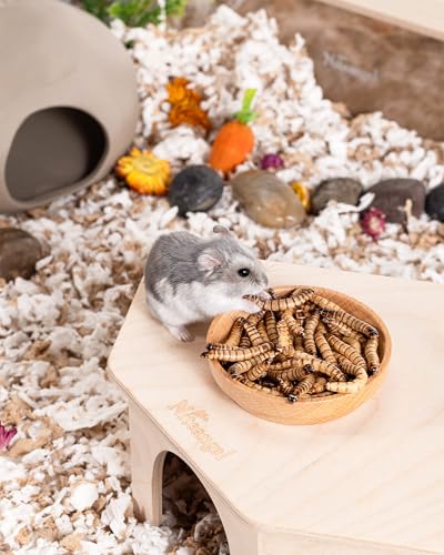 Small Animal Snack & Treats