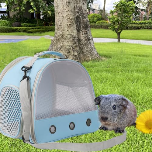 Ventilation Cage (Blue)