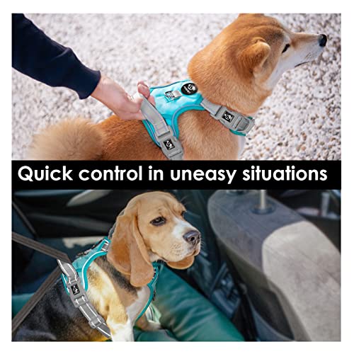 No Pull Dog Harness (Mint Green Base & Grey Straps / Large)
