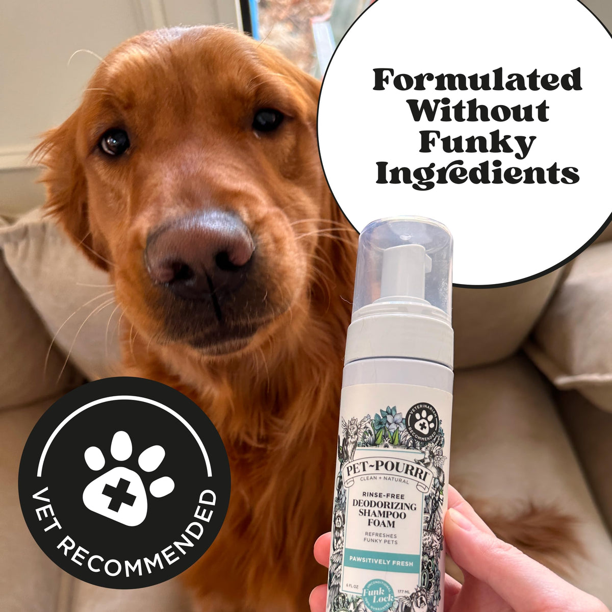 Rinse Free Deodorizing Dry Shampoo for Dogs & Cats (6 ounces)