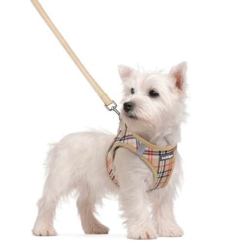 Dog Harness Small Sized and Leash Set (Beige Plaid / S (chest: 15.1 - 16.5"))