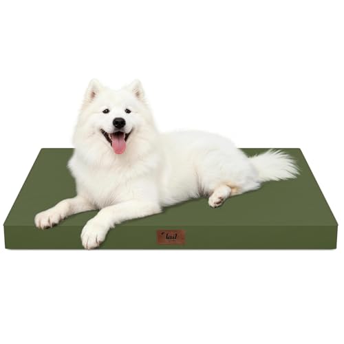 Large Waterproof Orthopedic Dog Bed with Egg Crate Foam (Amy Green / 41.0"L x 27.0"W x 3.5"Th)