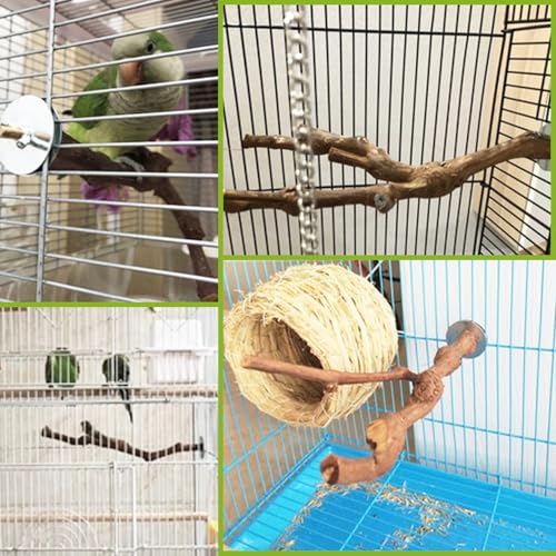 Bird Perches for Cage