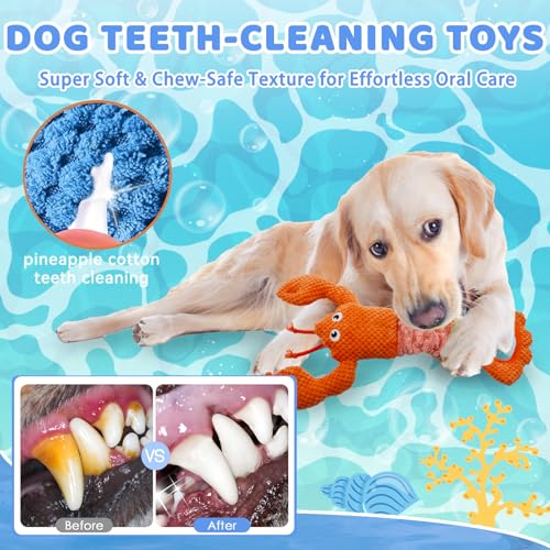 Tug of War Dog Toy Squeaky Dog Toys Interactive Lobster Puppy Toys (Orange Lobster)