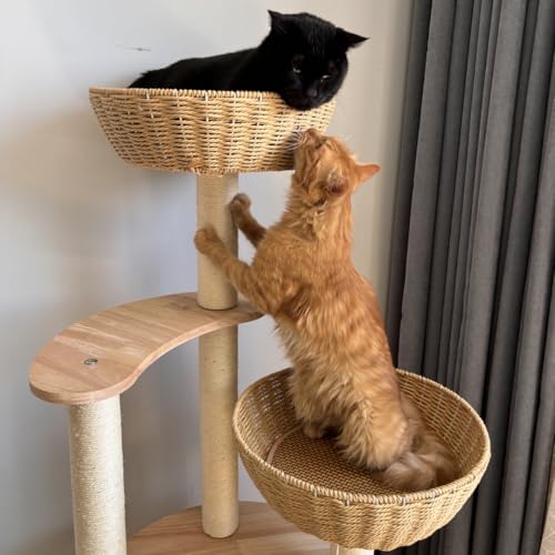 54" Modern Cat Tree for Large Cats (Large-Oiled1)
