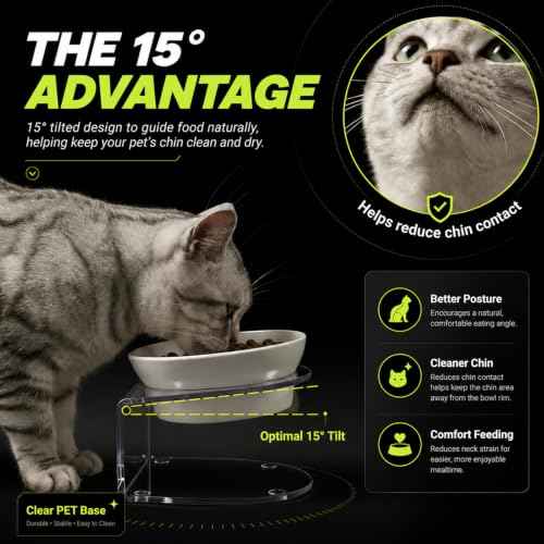 Raised Cat Bowl (White)