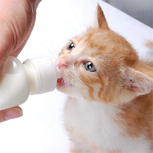 Pet Nursing Bottle Kits Nursing Bottle Kits Replacement Nipple Cat Feeding Bottle for Newborn Kittens