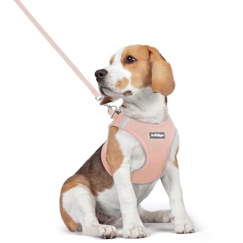 Dog Harness Medium Sized and Leash Set (Pink / L (chest: 18.2 - 20.5"))