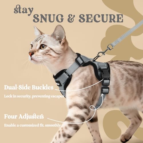 Cat Harness and Leash Set (Xs / Grey)