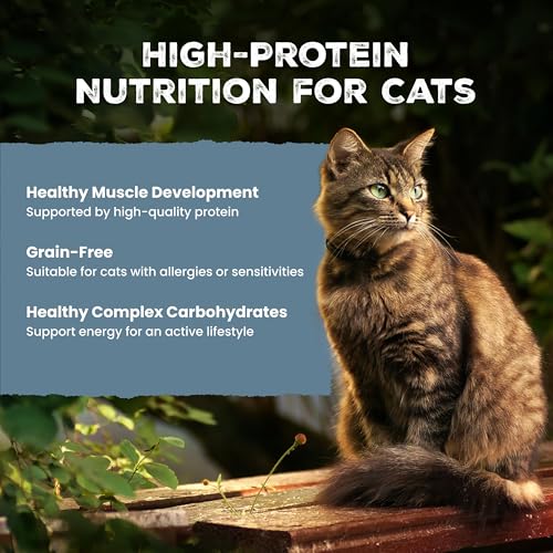 Wilderness Chicken Paté Adult Wet Cat Food (5.5 Ounce (Pack of 24))