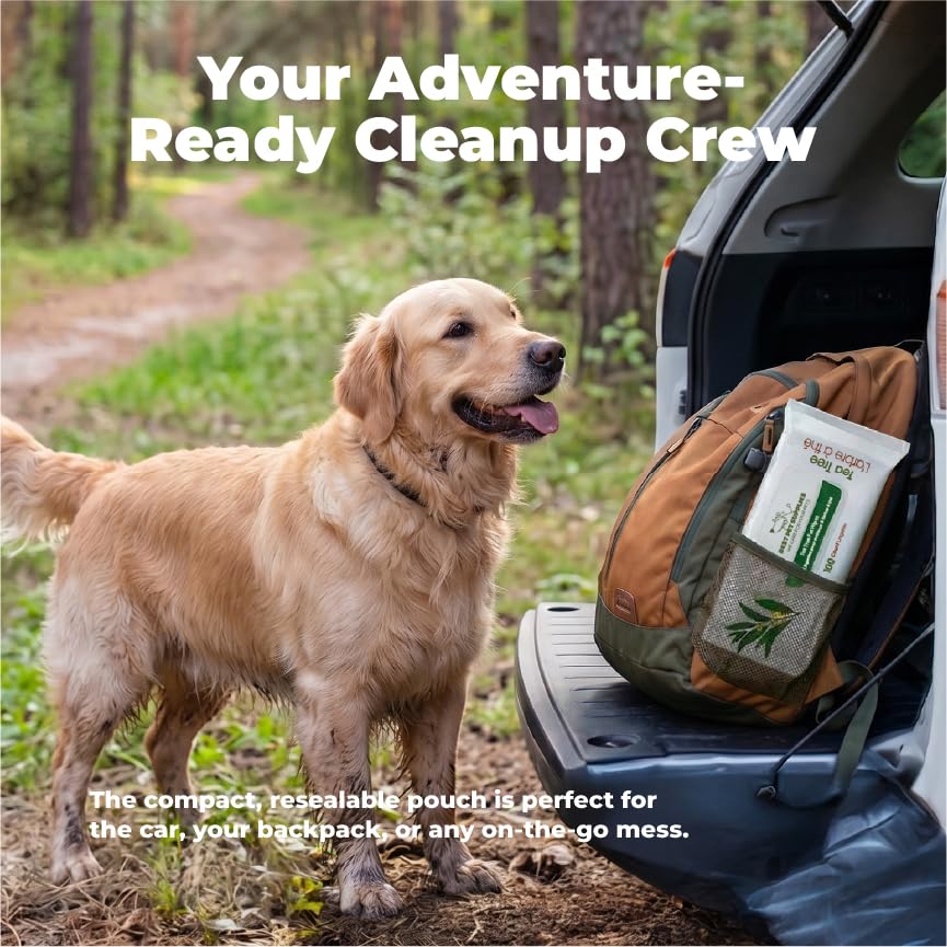 Cleaning Dog Wipes (Cleansing Tea Tree / 100 Count)