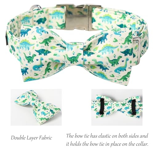 Dinosaur Dog Collar with Bowtie (Dinosaur / Medium (Pack of 1))