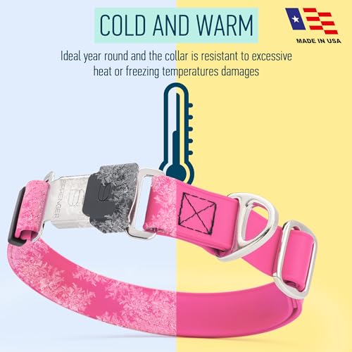 Biothane Waterproof Dog Collar with Herm Sprenger Stainless Steel Quick Release Buckle (W 1" x L 15"-25" / Passionfruit Pink)