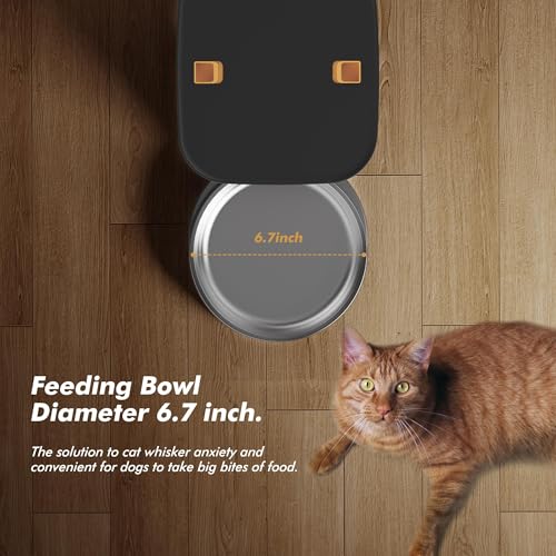 Automatic Dog Feeder (Matte Black)