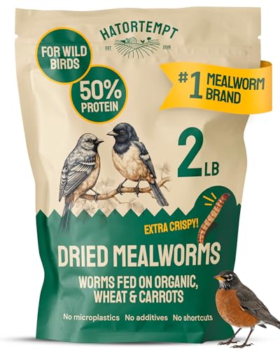 2lb Dried Mealworms for Wild Birds & Chickens (2 Pound (Pack of 1))