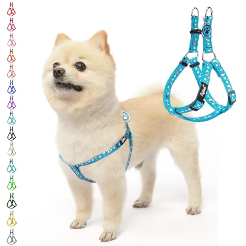 No Pull Dog Harness Small Sized Step (Light Blue Moon Star / Small)