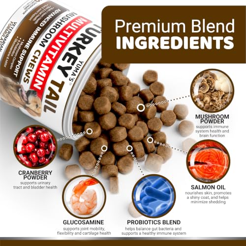 2 Pack) Turkey Tail Mushroom for Dogs - 340 Ct - Mushroom Chews for Dogs (Multivitamin Mushroom Complex / Value Pack (340 Mushroom Chews))