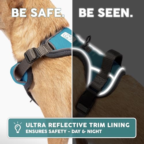 Embark No Pull Dog Harness (M / Blue)