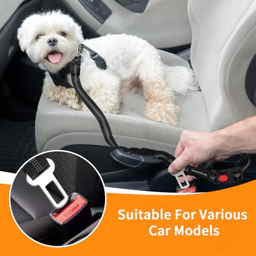 2 Pack Dog Seat Belt for Car (Black)