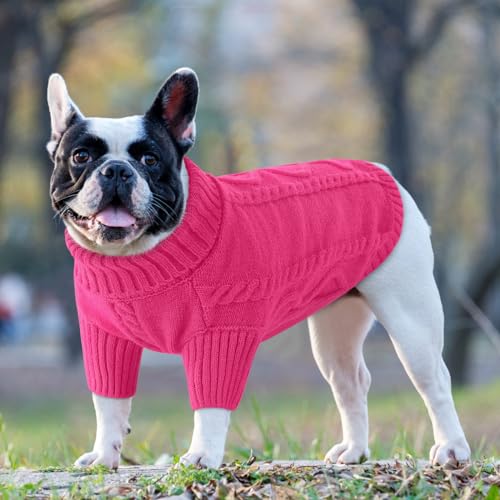Small Dog Sweater for Small Dogs Girl (X-Small / Fuchsia)