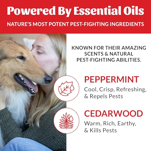 Natural Flea and Tick Dog and Home Spray (Flea & Tick Home Spray)