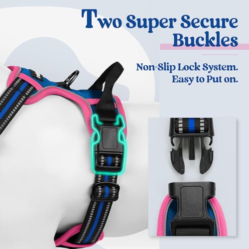Dog Harness No Pull for Small Dogs with 2 Leash Clips