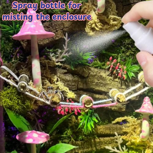 Jumping Spider Enclosure Starter Kit (S / Blue)