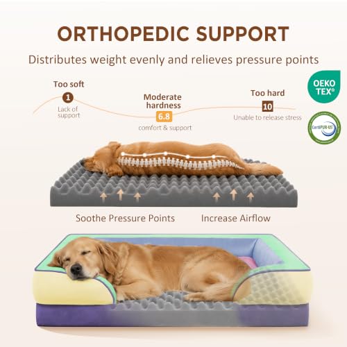 Orthopedic Dog Bed for Extra Large Dogs with Bolster (45.0"L x 35.0"W x 8.5"Th / Frosted Grape)