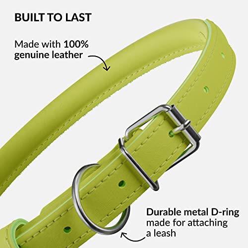 Tangle Free Rolled Leather Dog Collar (Lime Green / XXS)
