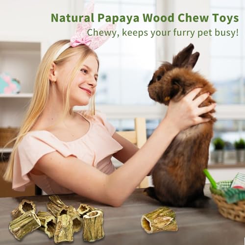 Rabbit Chew Toys