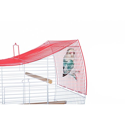 South Beach Wave Top Bird Cage Minimal Assembly (Lime Green / 10.4"L x 0.4"W x 17.6"H)