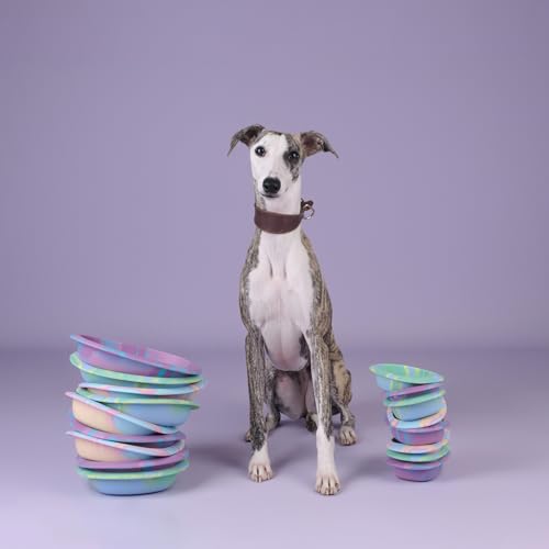 Dog & Cat Lick Mat Bowls with Suction Cups (Rainbow / Large)