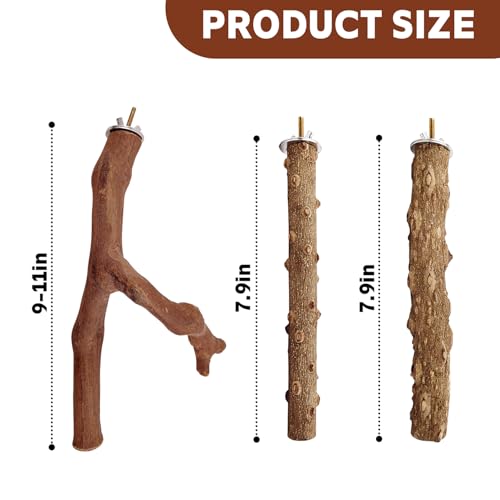 4PCS Bird Perch Natural Wooden Parrot Stand