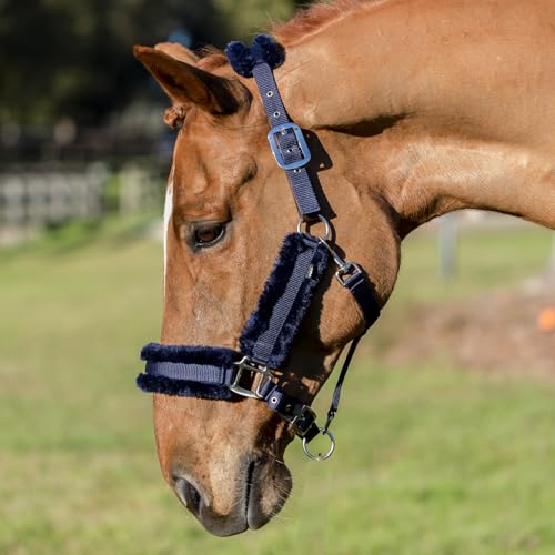 Valkyrie Ultra Fleece Padded Leather Fuse Breakaway Horse Halter (Navy/Navy / Cob)