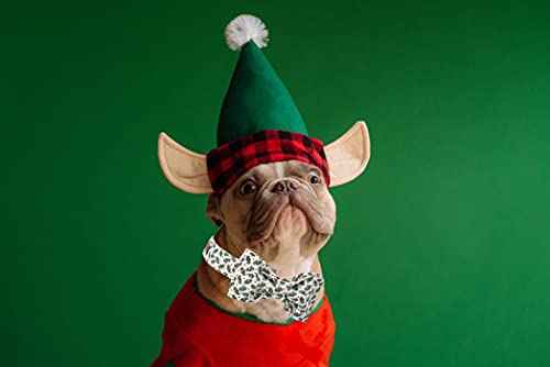 Christmas Dog Collar (Christmas Green / Medium (Pack of 1))