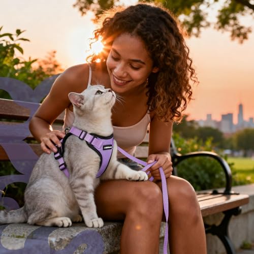 Cat Harness and Leash Set (Xxs / Light Purple)