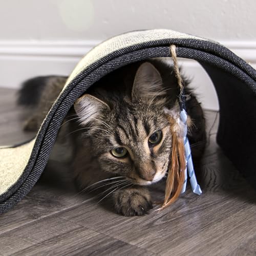 Dream Curl Carpet Cat Scratcher (One Size)