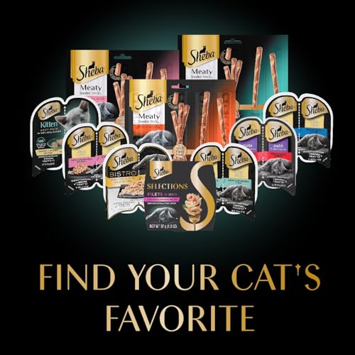 Selections Filets Wet Cat Food Complement (24 Count (Pack of 1))