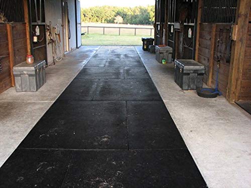 Horse Stable Mats (3/4" Thick – 4' x 10' Mat)