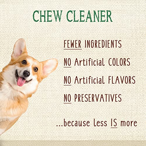 Nutri Dent Dog Dental Treats (13.7 Ounce (Pack of 1))