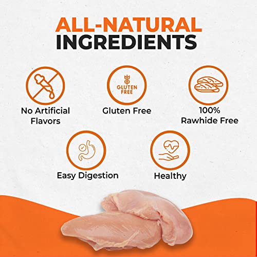 Rawhide Free Chicken Recipe Dog Chews (1 Count (Pack of 40))